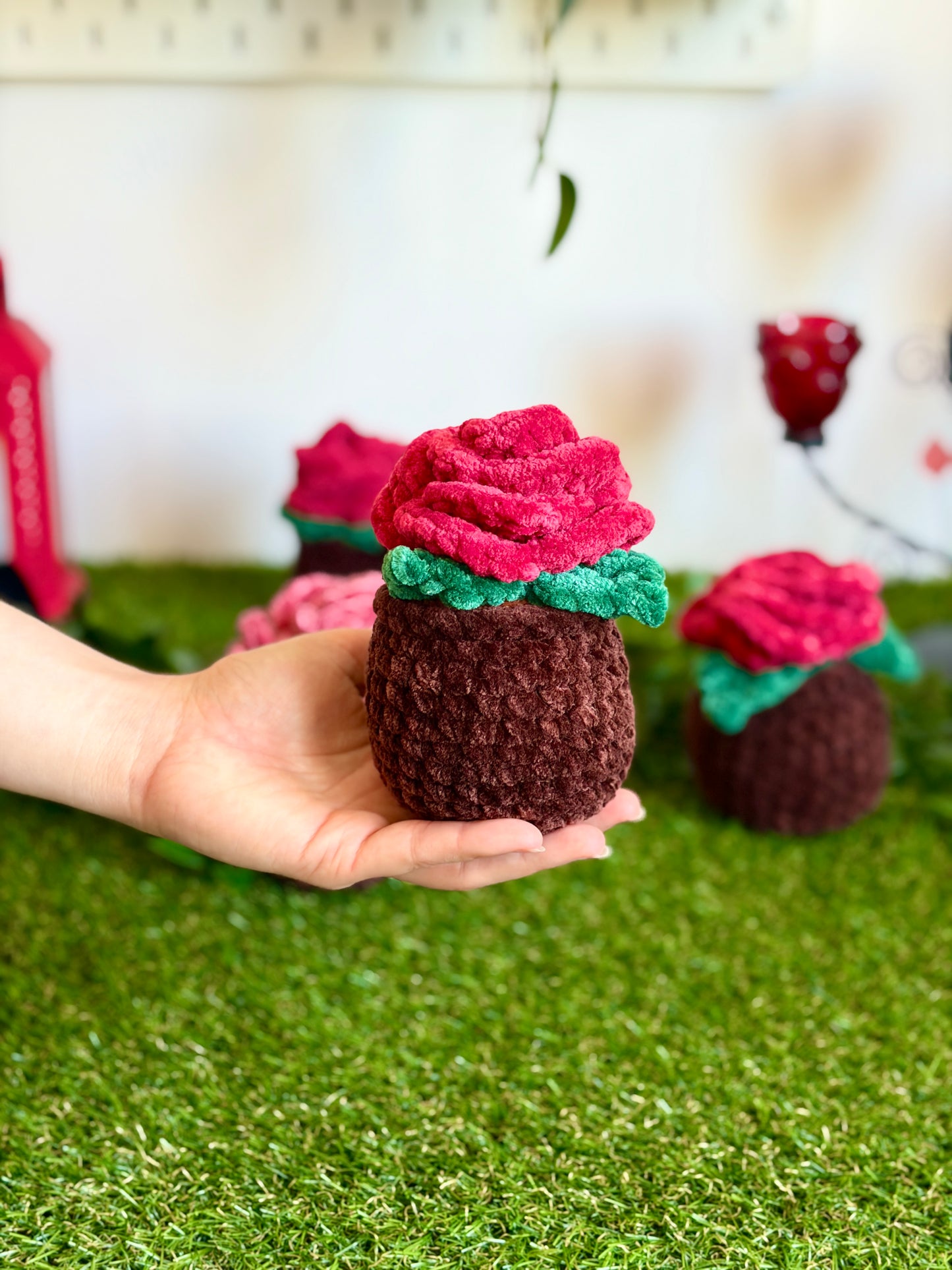 Rose en pot