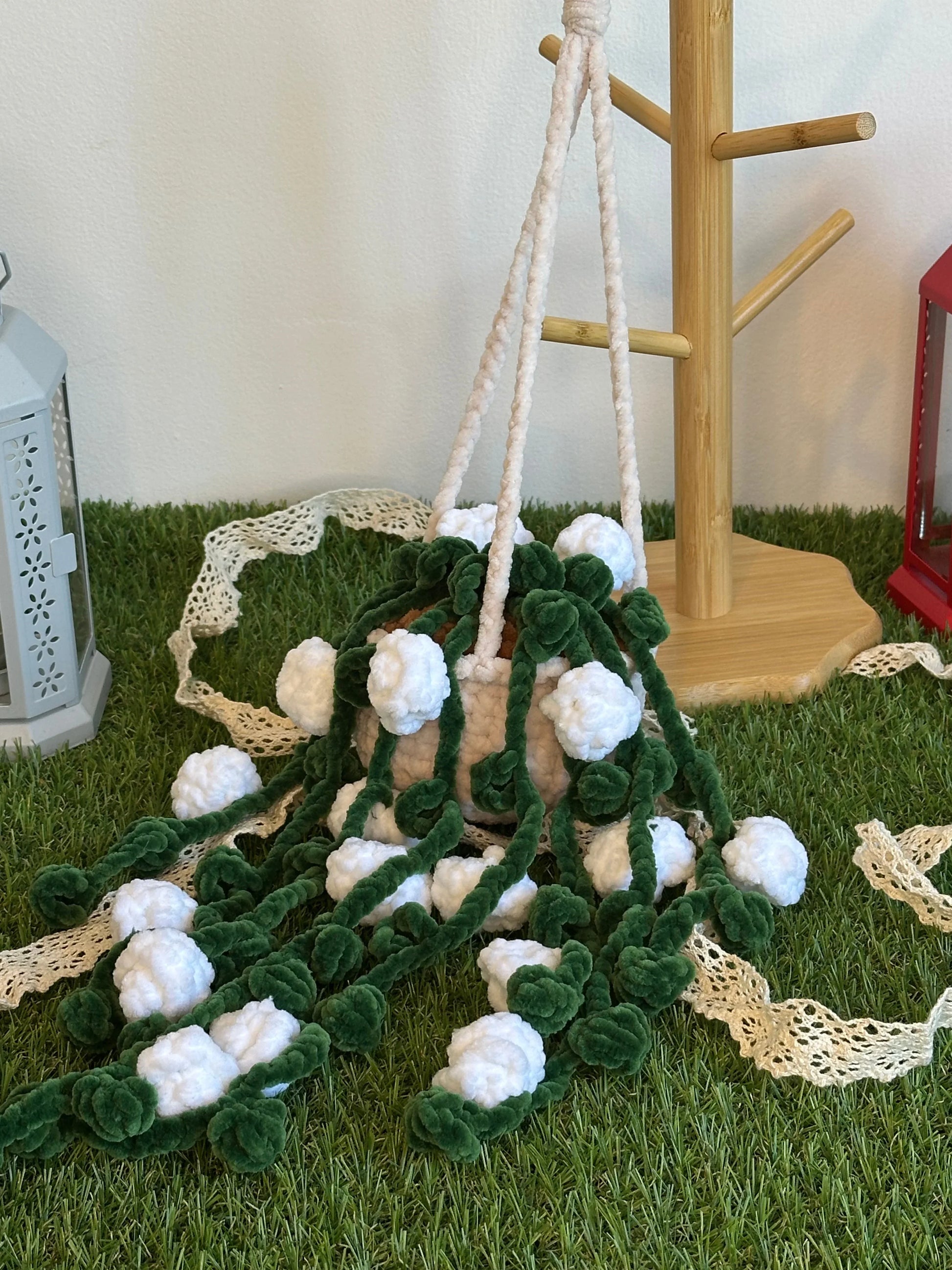 Rosier suspendu et retombant - Nuiba