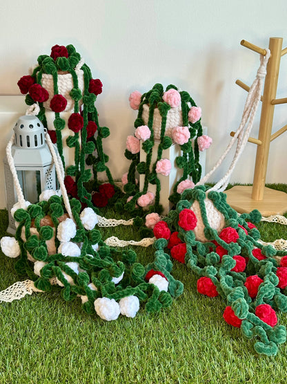 Rosier suspendu et retombant - Nuiba