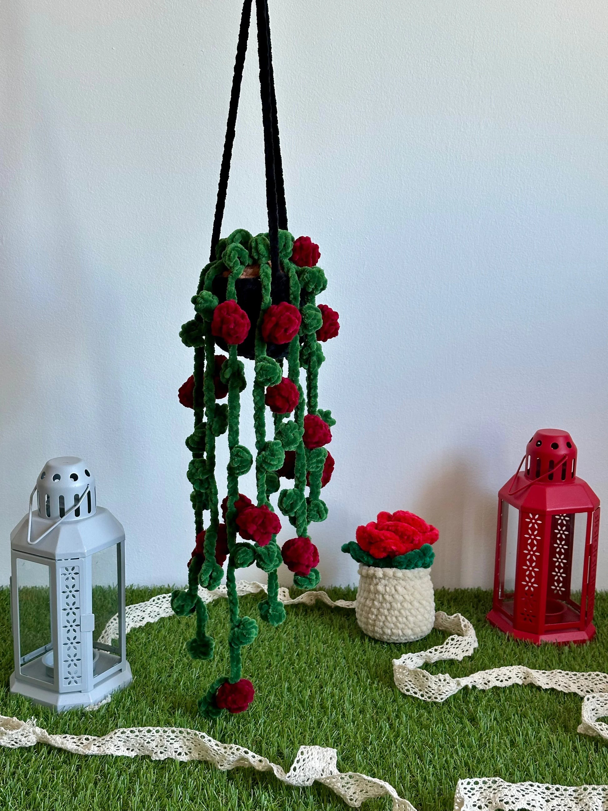 Rosier suspendu et retombant - Nuiba