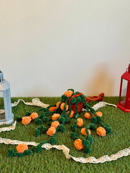 Rosier suspendu et retombant - Nuiba