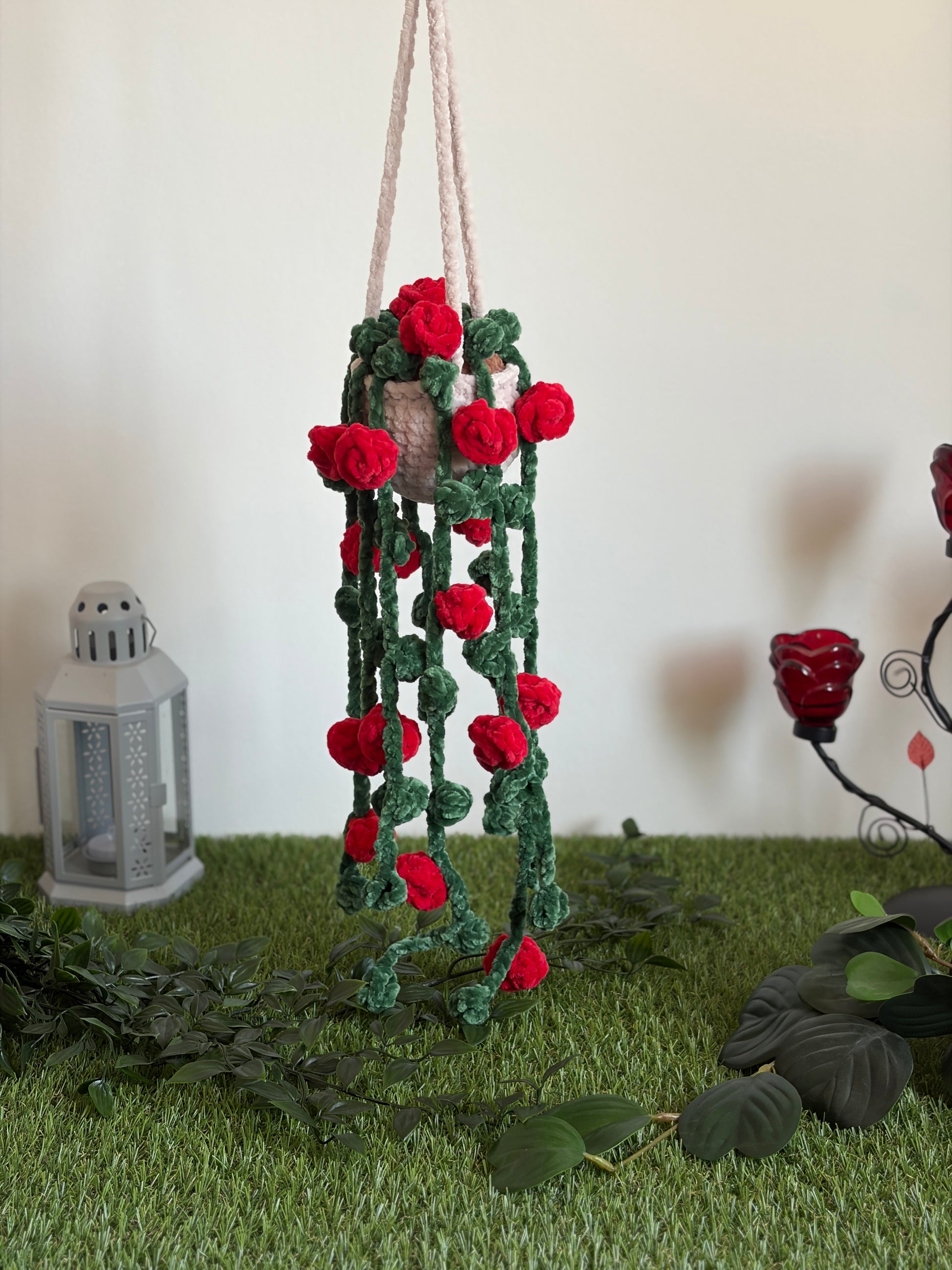 Rosier suspendu et retombant - Nuiba