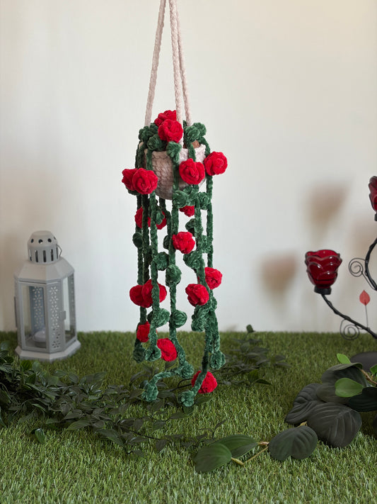 Rosier suspendu et retombant - Nuiba