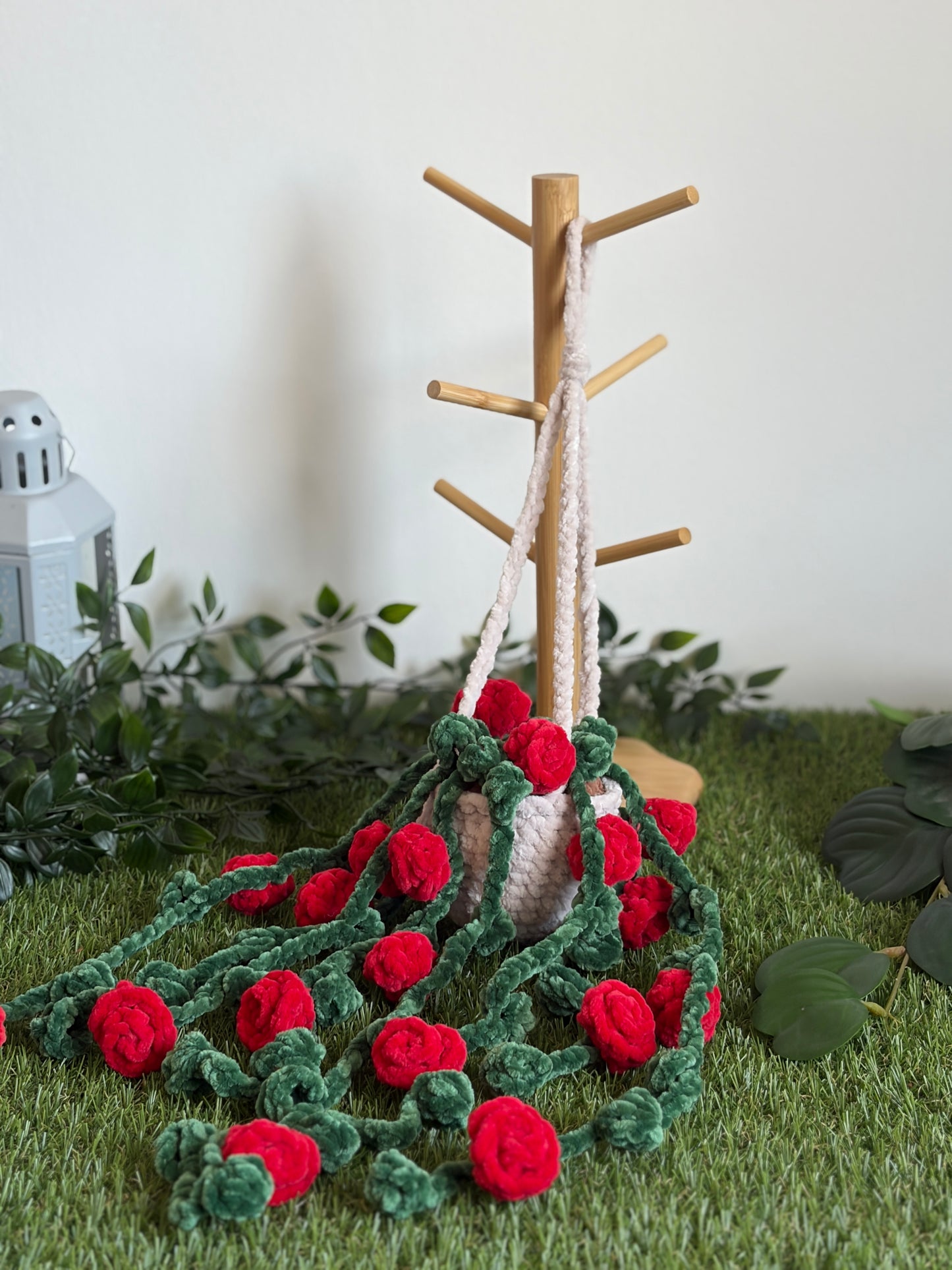 Rosier suspendu et retombant - Nuiba