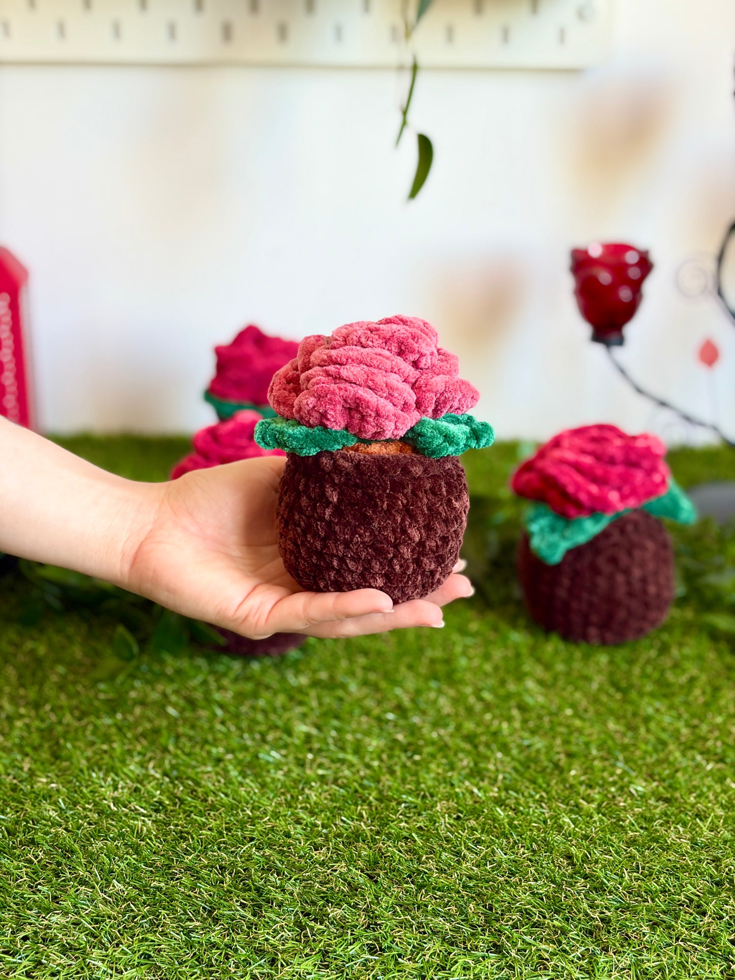 Rose en pot