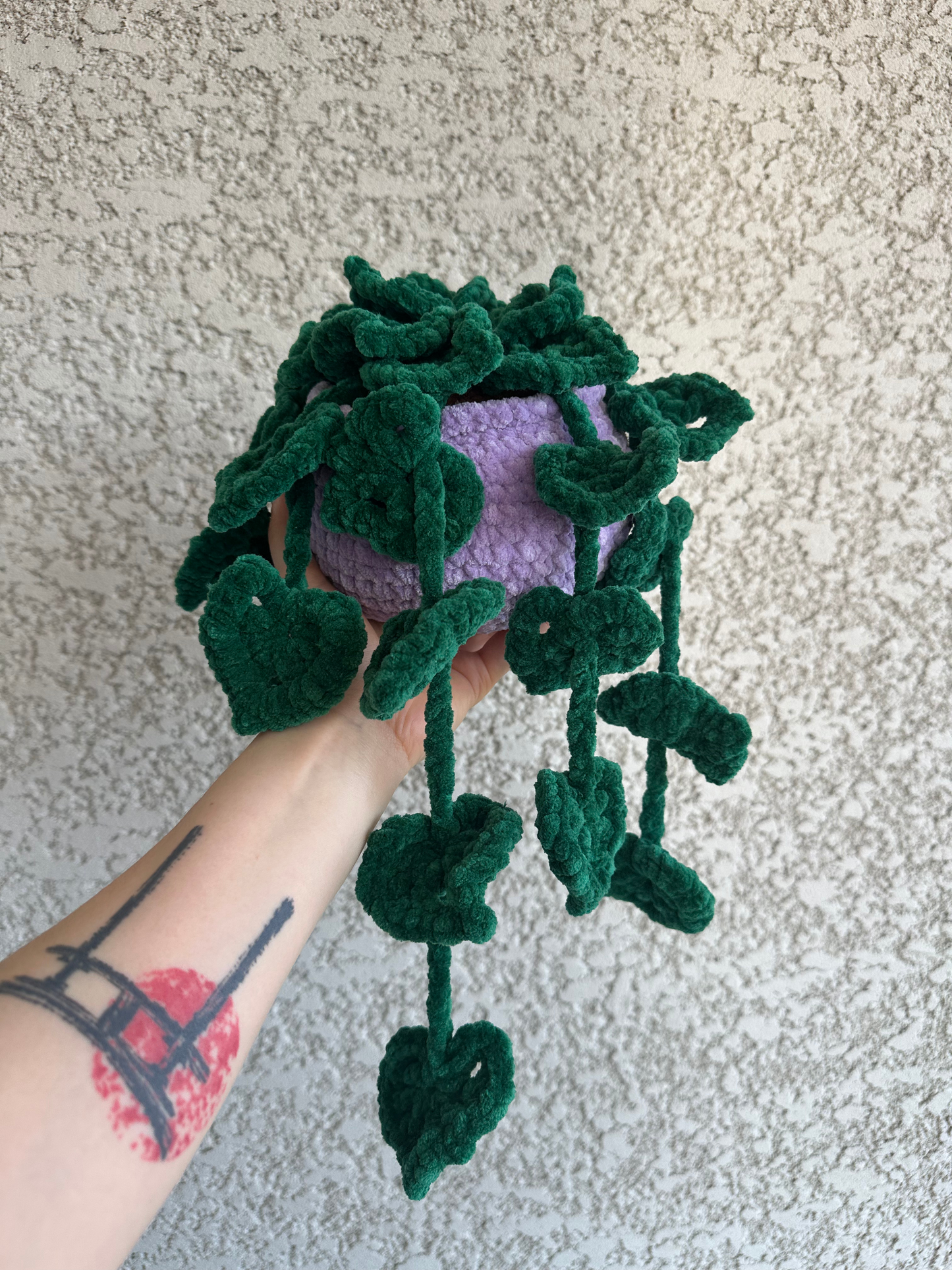 Monstera monkey leaf - Nuiba