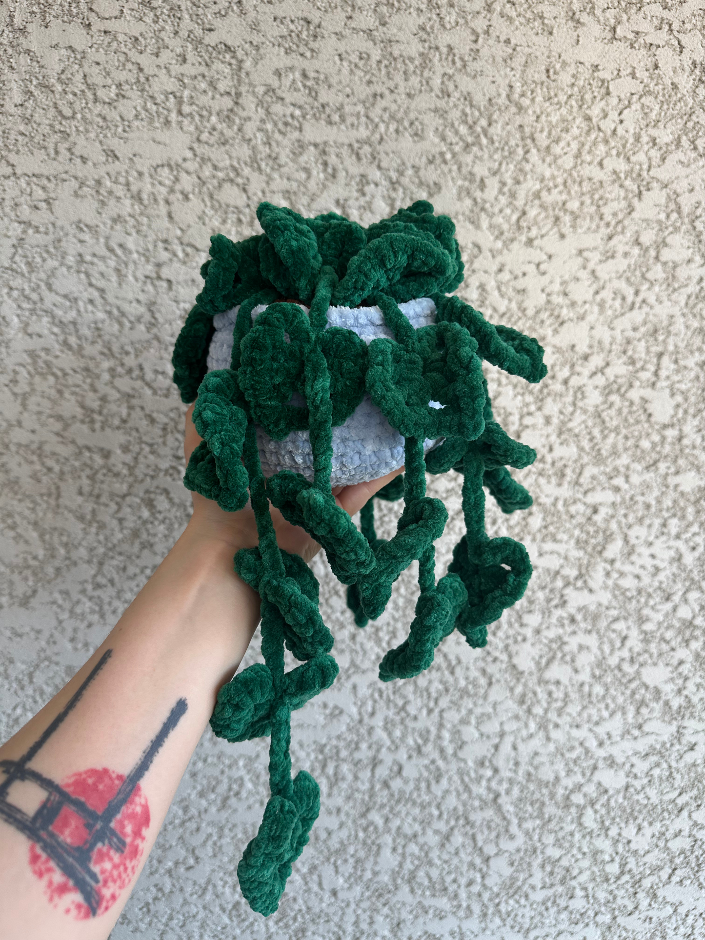 Monstera monkey leaf - Nuiba