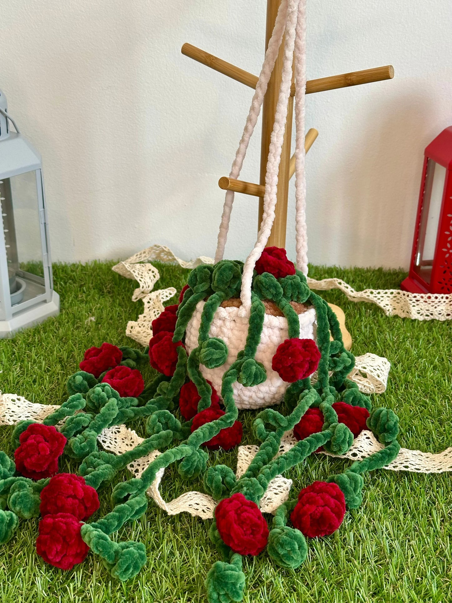 Rosier suspendu et retombant - Nuiba