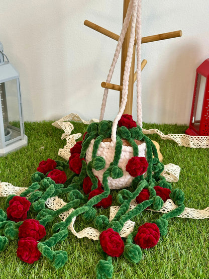 Rosier suspendu et retombant - Nuiba