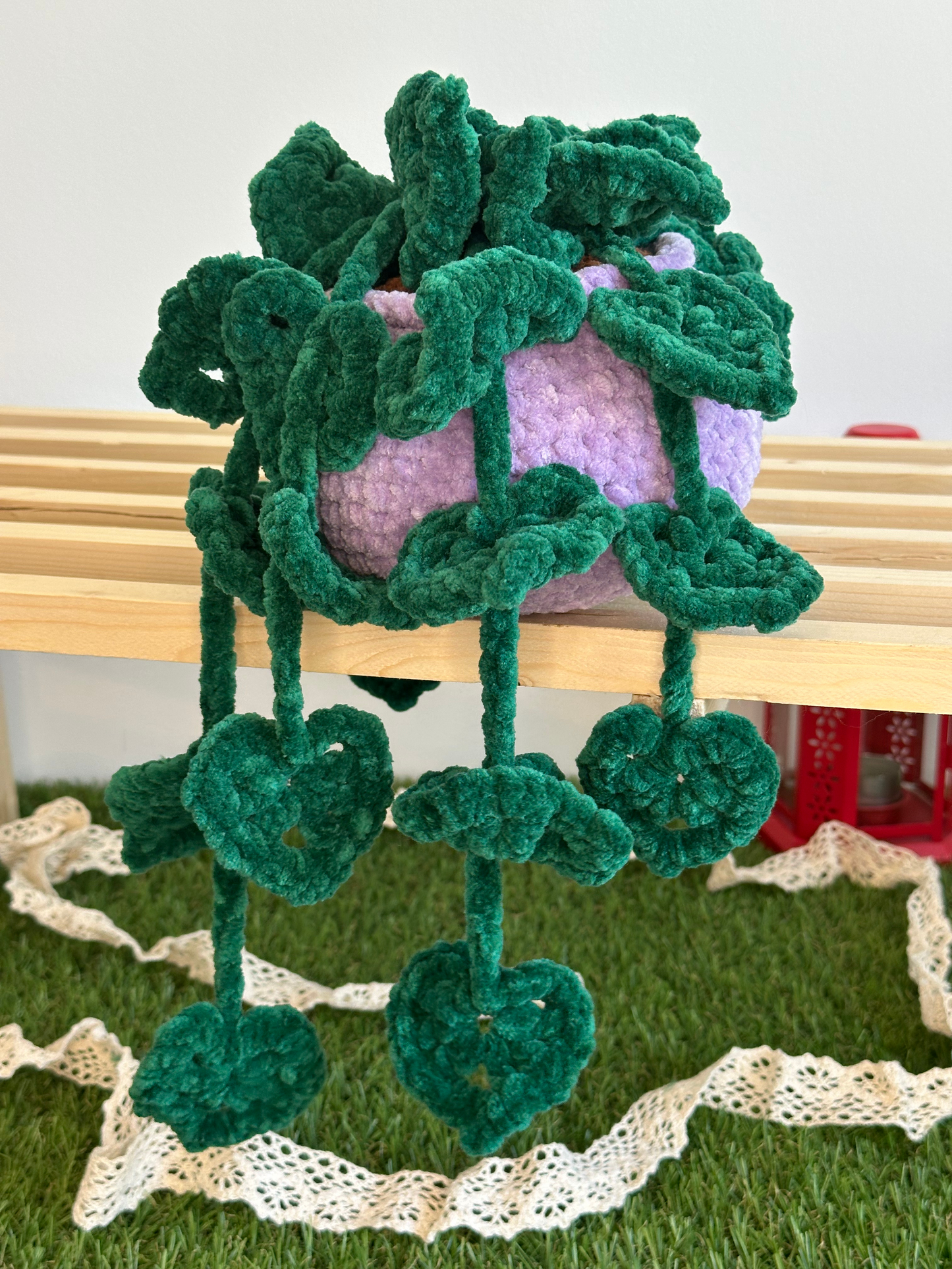 Monstera monkey leaf - Nuiba