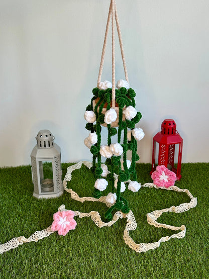 Rosier suspendu et retombant - Nuiba